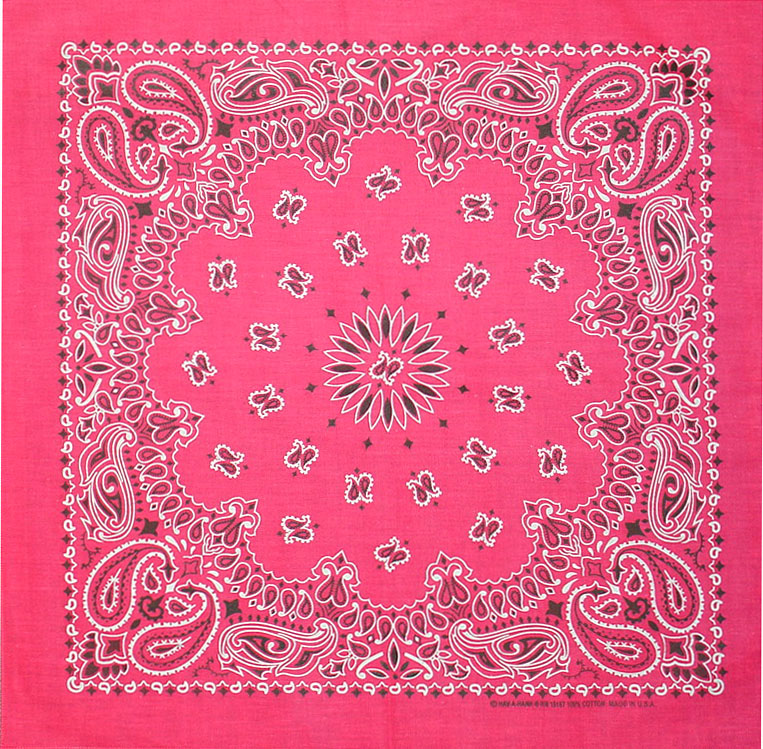 Bandanna Hot Pink Paisley 22" x 22"